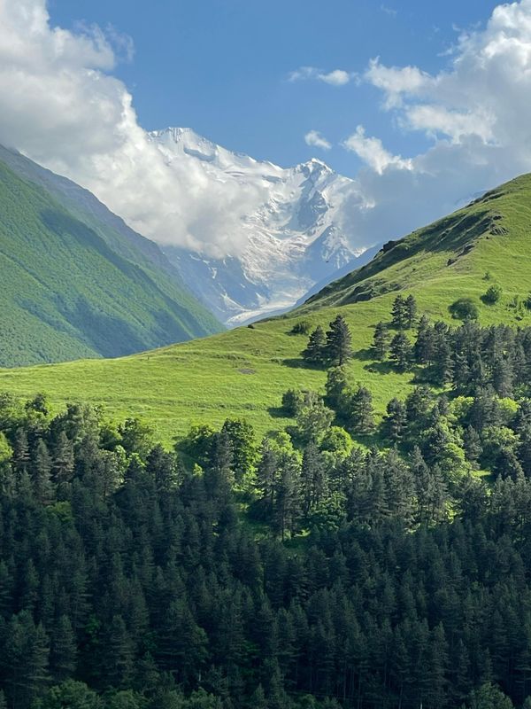Экскурсия «Пейзажи Осетии»